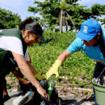 Mutirão de limpeza na Praia do Porto Novo recebe