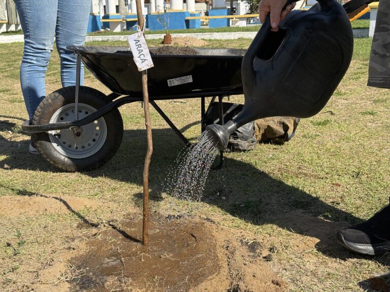 Caraguatatuba reinicia Projeto Arborizar com 22 árvores