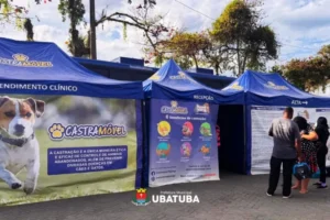 Ubatuba realiza 318 castrações e revela lacunas