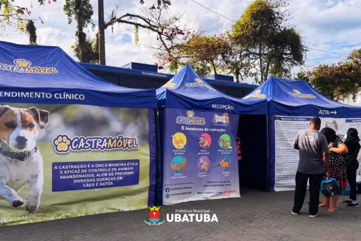 Ubatuba realiza 318 castrações e revela lacunas