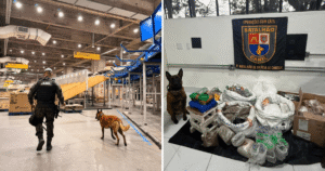 Operação apreende 174 kg de drogas em centros
