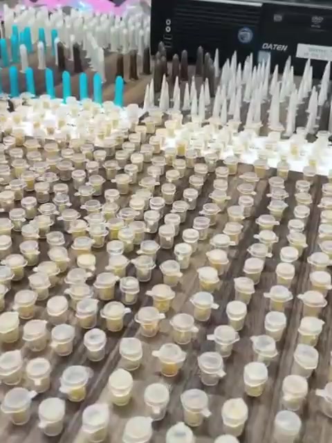 Homem é preso por tráfico na Topolândia