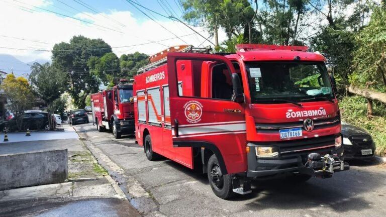 Moradores e bombeiros controlam incêndio em São Sebastião