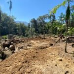 PM Ambiental derruba construções ilegais em Ubatuba