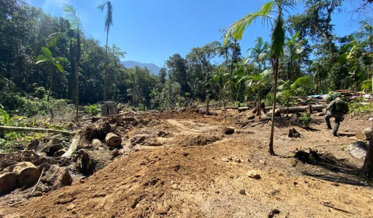 PM Ambiental derruba construções ilegais em Ubatuba