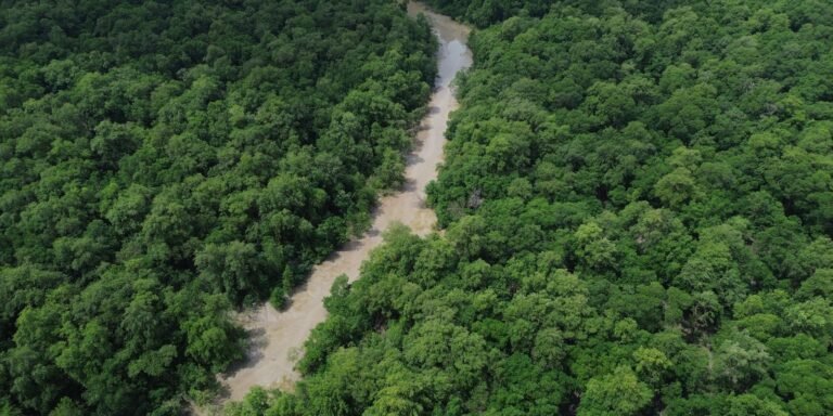 Cobra de 30 metros inaugura Virada Cultural na Amazônia