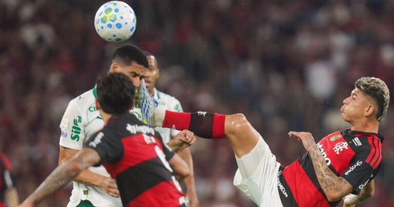 Flamengo pode assumir liderança se vencer e Palmeiras tropeçar