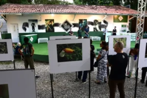 Ilhabela abre exposição fotográfica no Bird Week