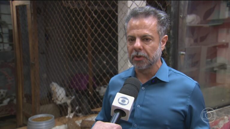 Toffoli libera campanha digital de Wilson Grassi