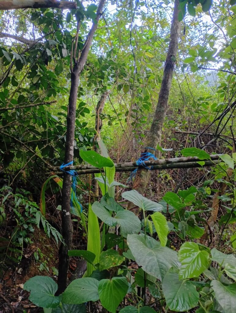 *POLÍCIA AMBIENTAL LOCALIZA ARMAS E INDÍCIOS DE CAÇA