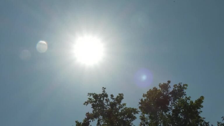 Calor pode ultrapassar 40°C em oito estados