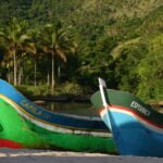 Exposição Canoa Caiçara abre em Caraguatatuba