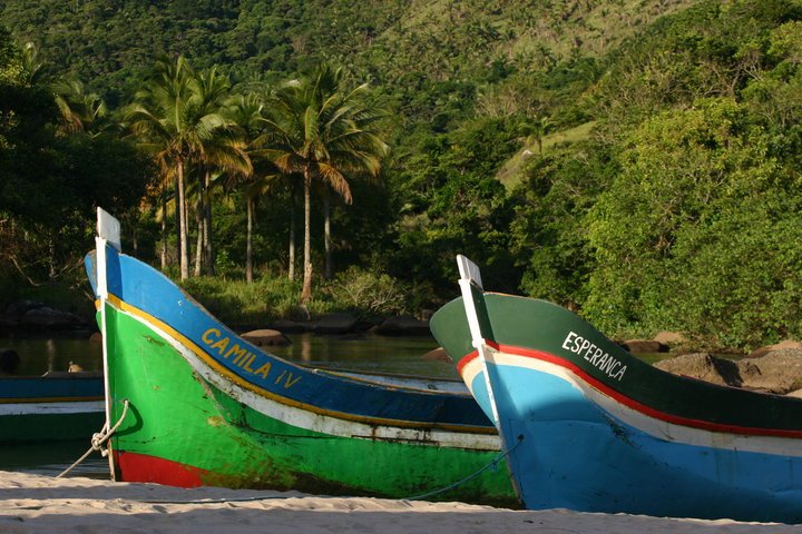 Exposição Canoa Caiçara abre em Caraguatatuba