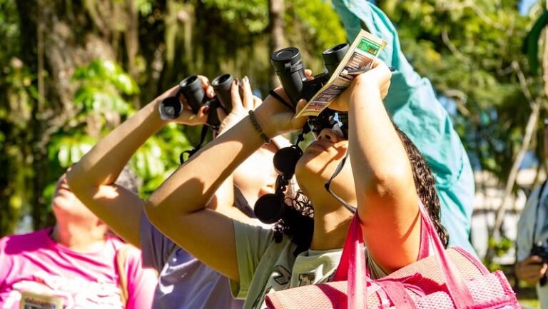 Festival das Aves inicia atividades em Bertioga