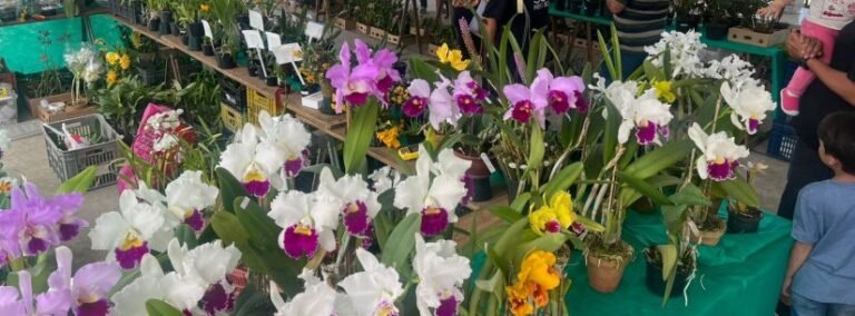 Caraguatatuba abre 46ª Exposição de Orquídeas