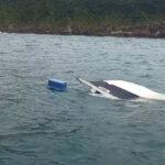 Barco naufraga em Ilhabela com três ocupantes a bordo