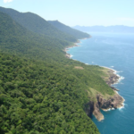 Homem morre durante naufrágio de lancha em Ilhabela