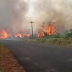 O estado do Amazonas registrou 1.380 focos de queimadas nos primeiros dez dias…