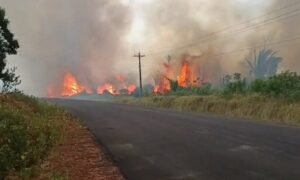 O estado do Amazonas registrou 1.380 focos de queimadas nos primeiros dez dias…