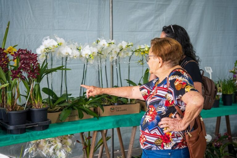 Exposição de orquídeas atrai 2.210 visitantes em Caraguatatuba