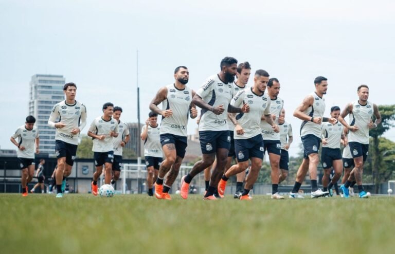 Santos ainda pode alcançar Libertadores com oito rodadas restantes
