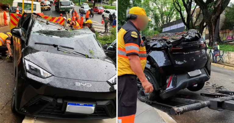 Chuvas em SP: Árvore cai e esmaga carro