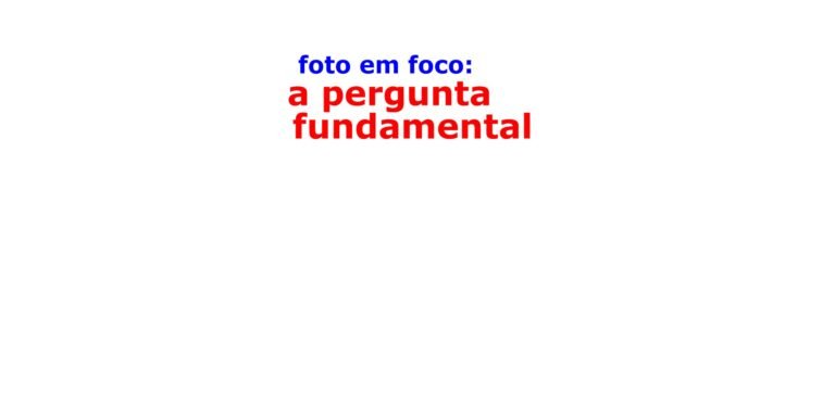 Foto em foco: a pergunta fundamental