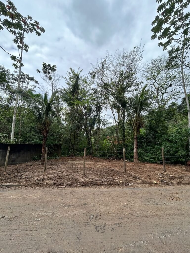 Caraguatatuba recupera área degradada no Massaguaçu